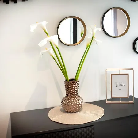 Apartment Salteria Premium 1 Rovinj